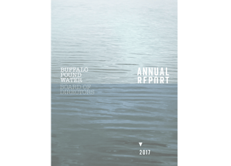  buffalo pound water treatment plant annual report 2017
